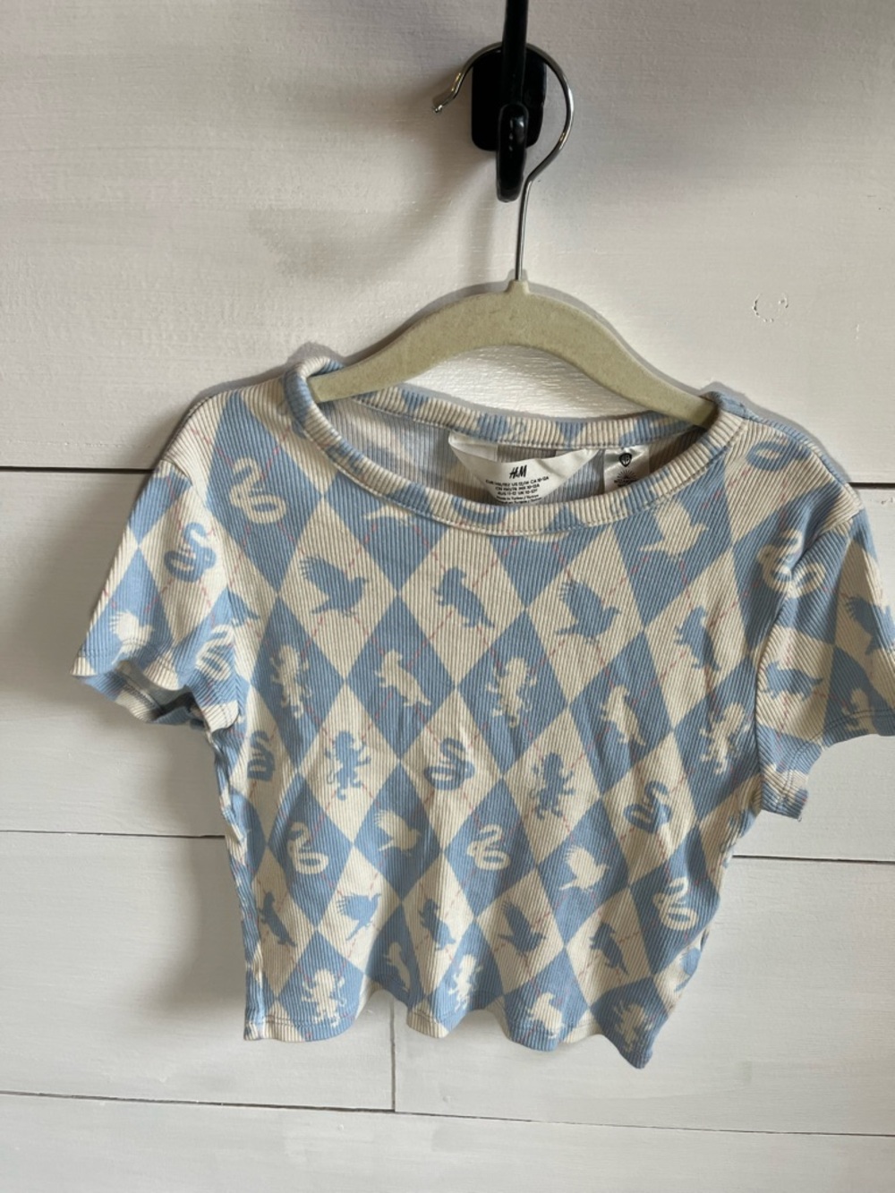 H&M Blue & Cream Wizarding World Crop Tee